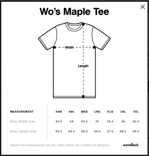 Picture of ASE Ladies Tee Small Print - Black